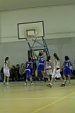 Basket C321125